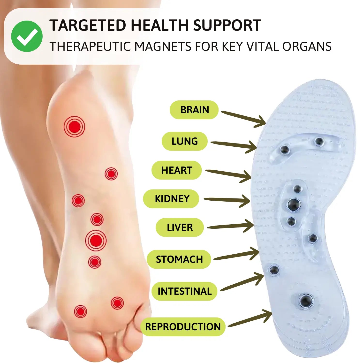 The Maximum Stability System
